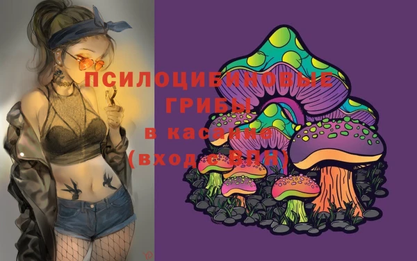 МДПВ Алексеевка