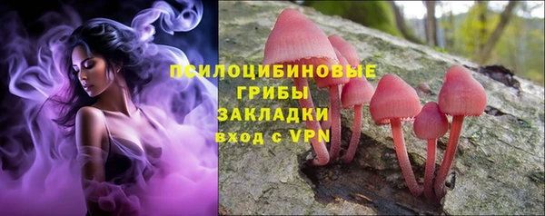 стаф Алексин